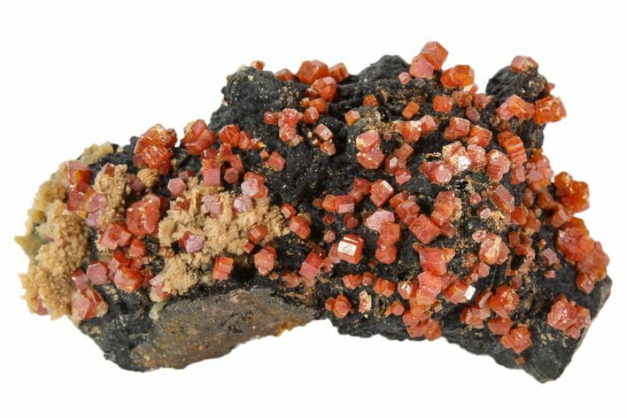 Red Vanadinite Crystals On Manganese Oxide - Morocco #103575